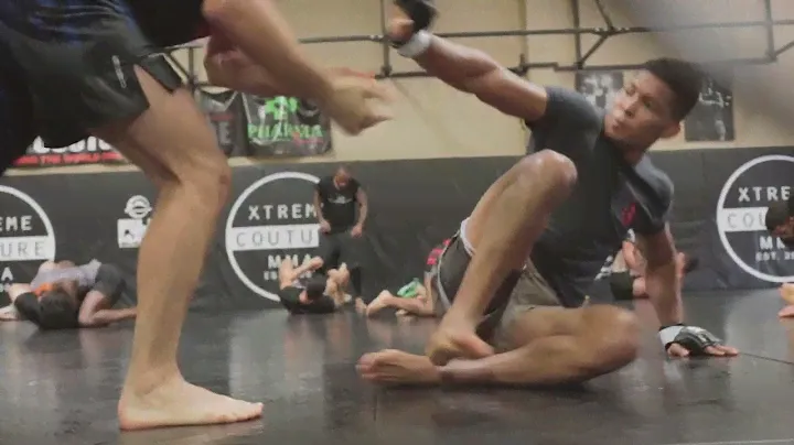 MMA pro wrestling practice at Xtreme Couture