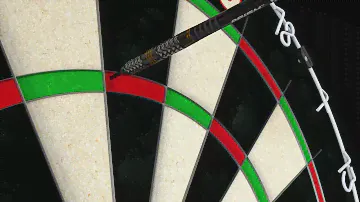 WINMAU Professional dartboard set - dartboard set for teenagers and adults
